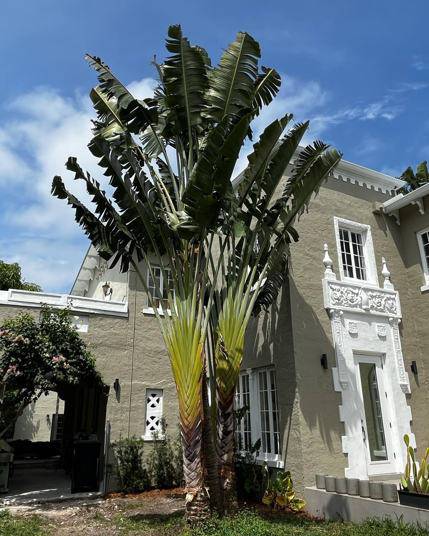 648947117 17999954672907192 1222443749824742740 n