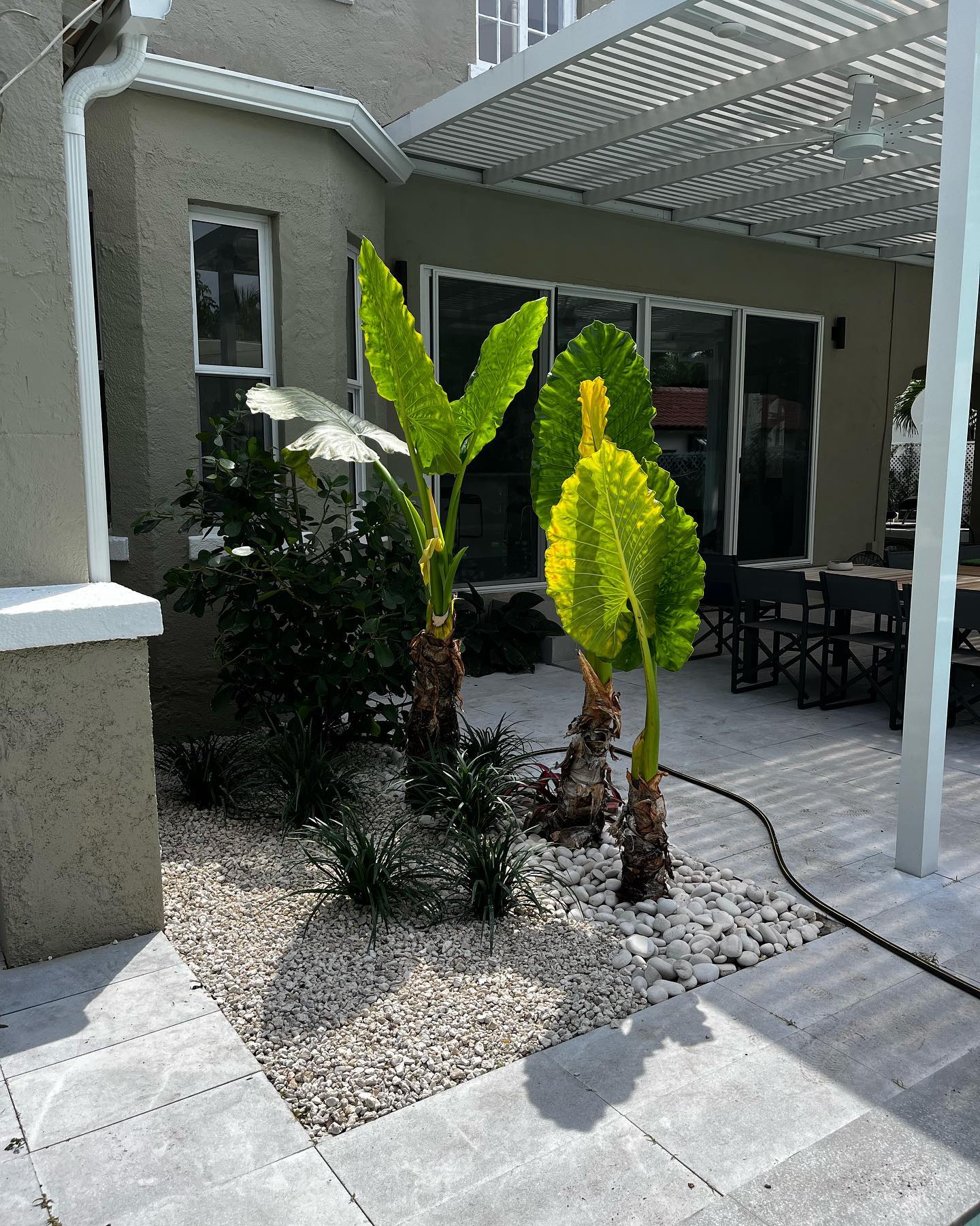 650826478 18009646019837427 9004307249585744240 n