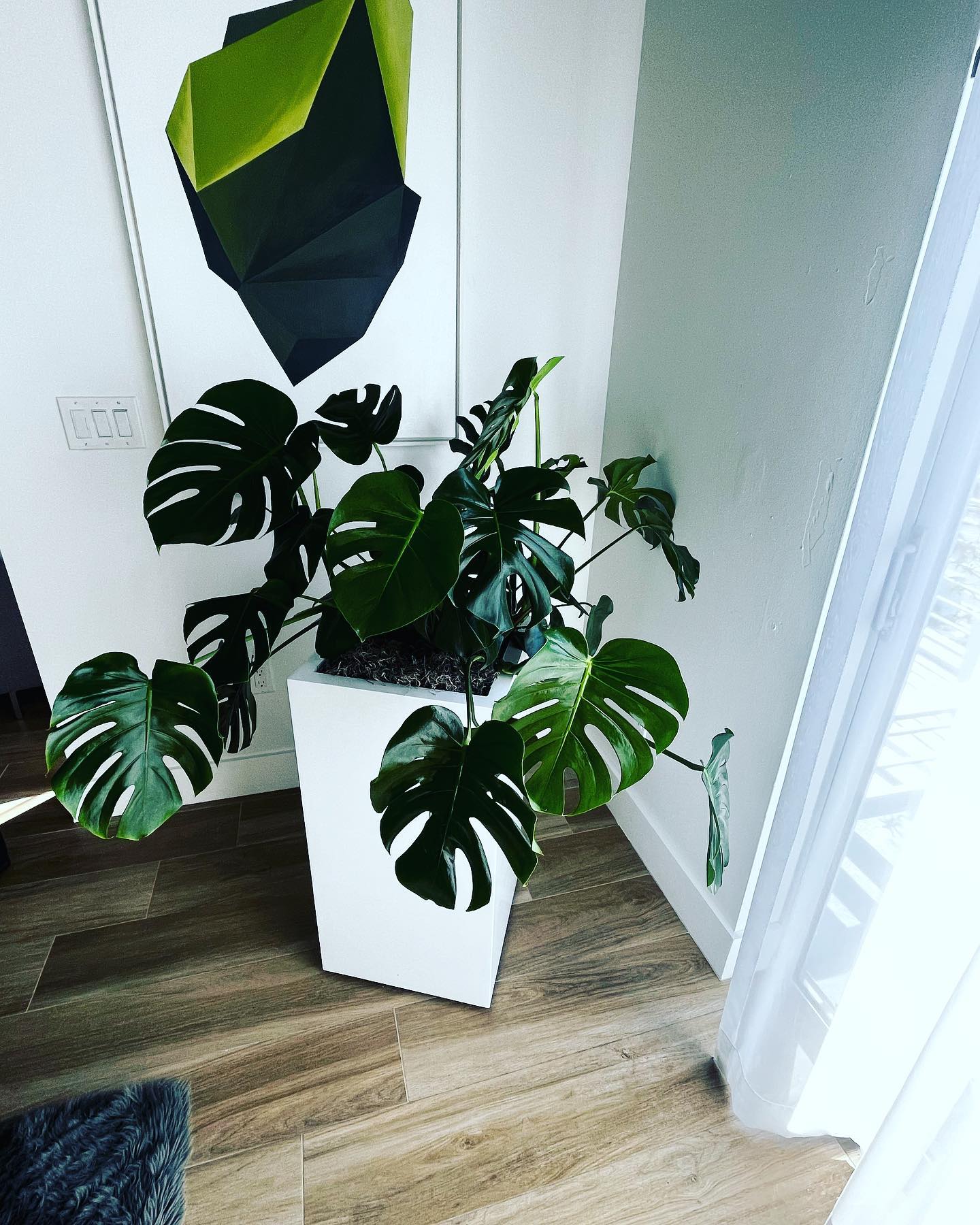 658082714 18185937790370674 5370036679324082939 n